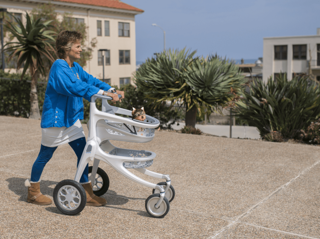 Proability Walk Art